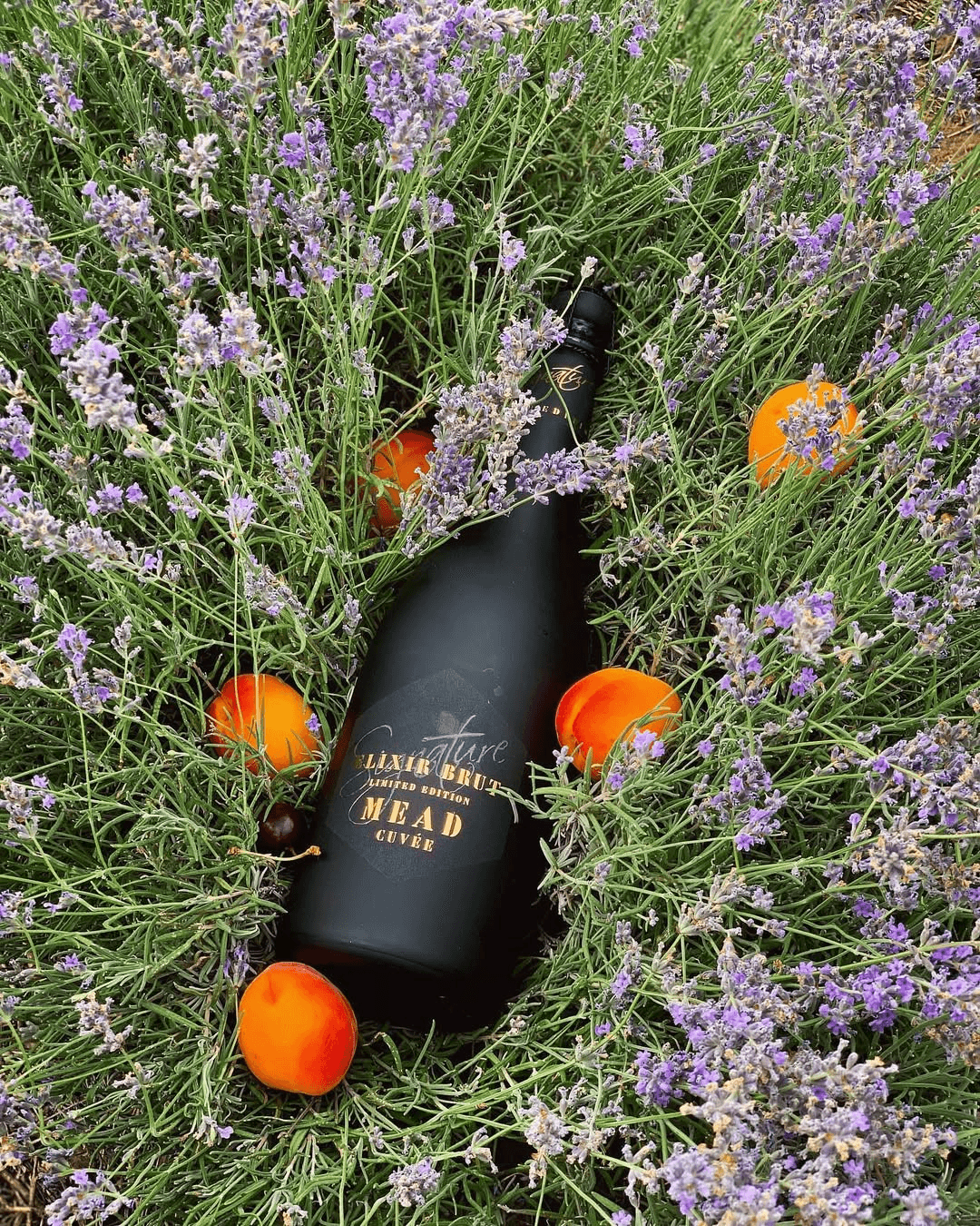 Mied honey sparkling wine bottle